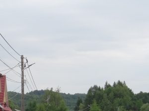 39